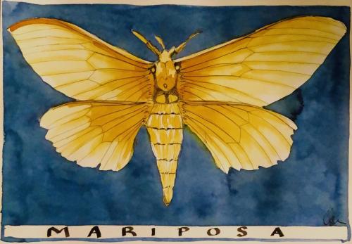 269E185D-9A29-404F-9D79-24165378388A