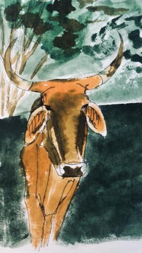 A92A5E6B-F32C-496E-8D98-BE252F100A7D